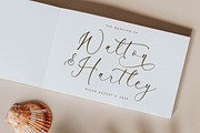 Peach Mondela Beauty Calligraphy, a Script Font by Storytype Studio (Thumbnail 3 of 15)
