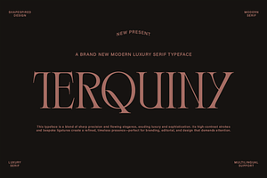 Terquiny - Modern Luxury Serif