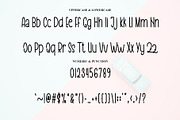 Beginning, a Serif Font by InermediaSTUDIO (Thumbnail 2 of 7)