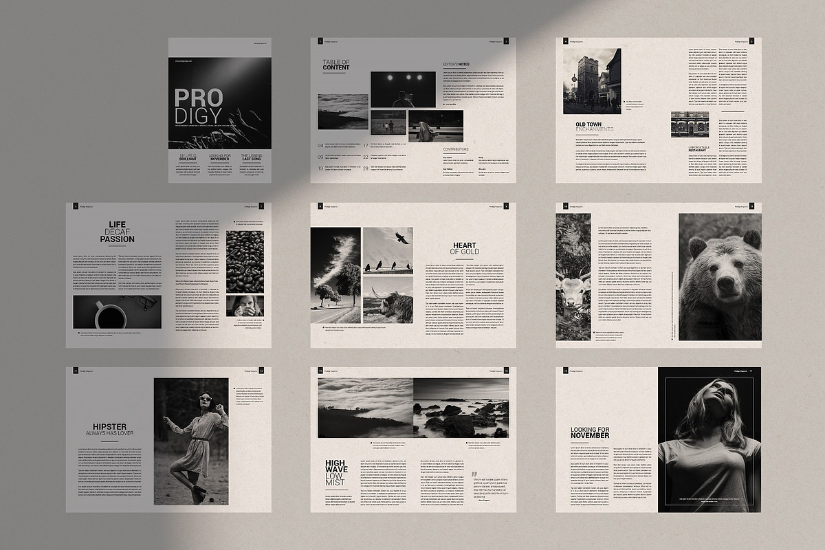 Prodigy Magazine, a Magazine Template by Bokuto (Photo 7 of 8)