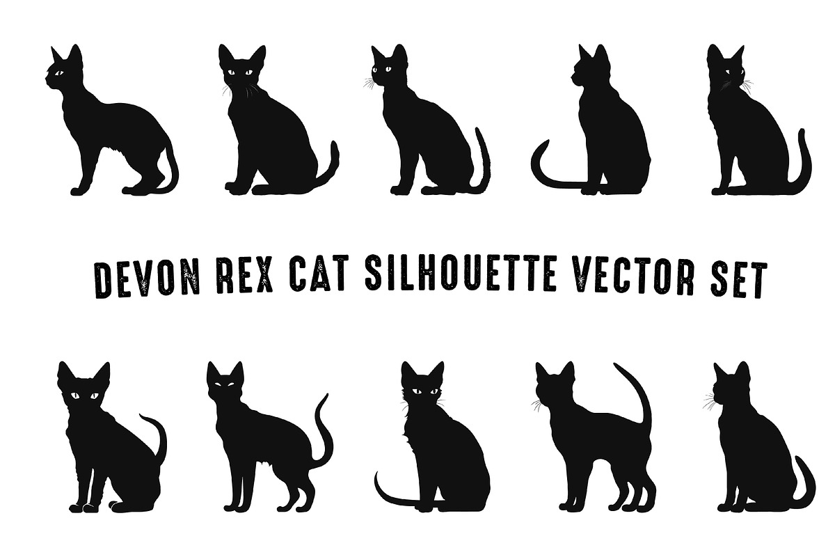 Devon Rex Cat Breed Silhouettes Clip, an Animal Illustration by Gfx Expert Team (Photo 3 of 3)