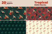Tropical Wildlife Collection, a Decorative Illustration by moja doodle (Thumbnail 4 of 8)
