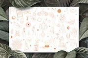 Mystical Collection, a Decorative Illustration by Mio Buono (Thumbnail 2 of 10)