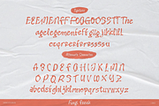 Fungi Freak | Messy Handwritting, a Handwritten Font by Denustudios (Thumbnail 12 of 12)