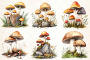 Watercolor Mushroom Clipart bundle, an Illustration by DreamCafeArt (Thumbnail 3 of 9)