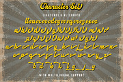 Agies Fresh - Retro Bold Script Font, a Script Font by StringLabs (Thumbnail 13 of 14)