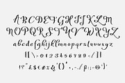 Welga, a Script Font by Digital Typeface Studio (Thumbnail 7 of 7)