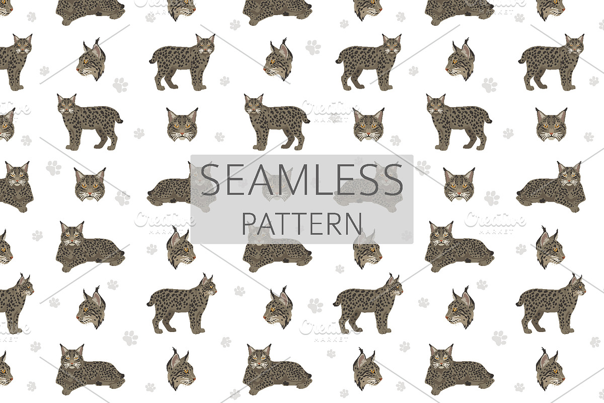 European wild cats clipart, an Animal Illustration by pet design shop (Photo 7 of 10)
