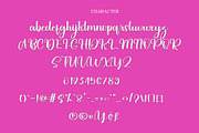 Onion, a Serif Font by FreshTypeINK (Thumbnail 4 of 6)