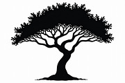 Wild Forest Tree Clipart Set, an Illustration by balal (Thumbnail 15 of 20)