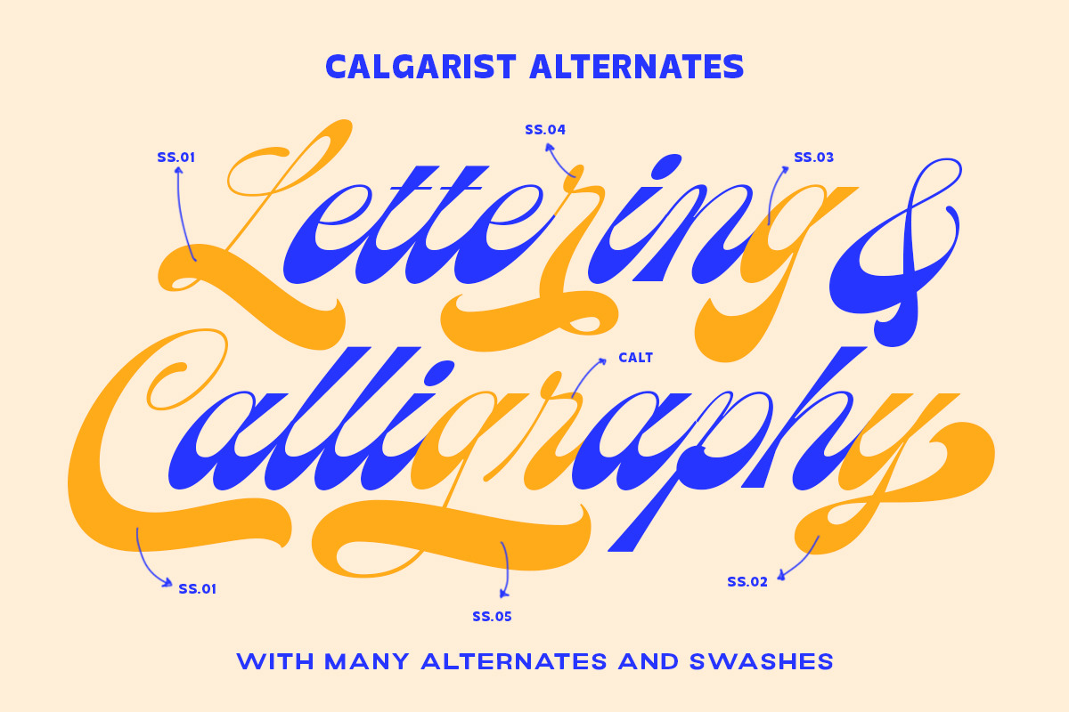 Calgarist Script, a Script Font by IronbirdCreative (Photo 3 of 14)