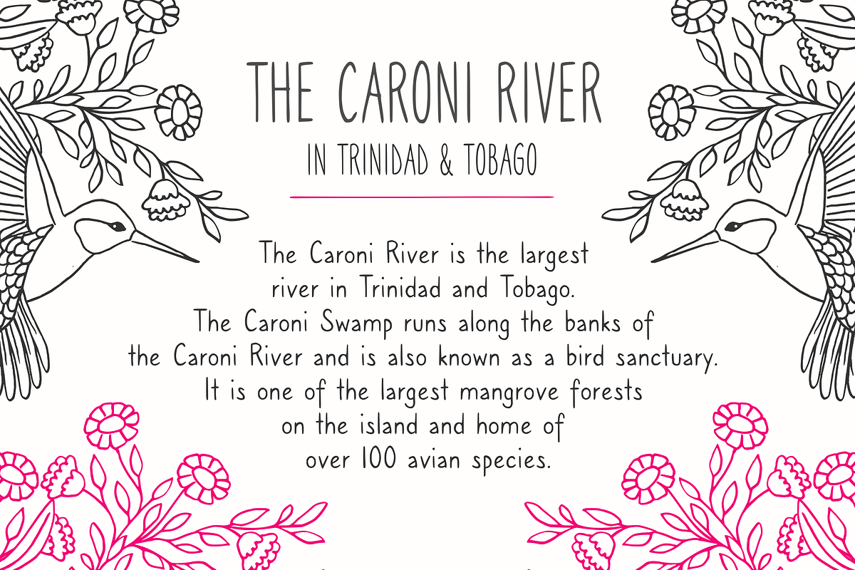 Caroni - A Handmade Typeface preview 2