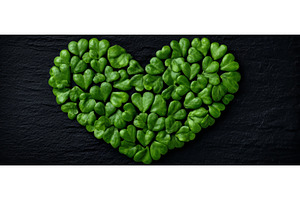 A table features a heart made from, a Nature Photo by ZinetroN