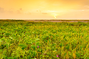 Playa Linda Landscape Mexico, a Nature Photo by THP Creative