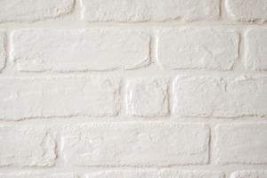 White brick wall background, a Food & Drink Photo by etorres69