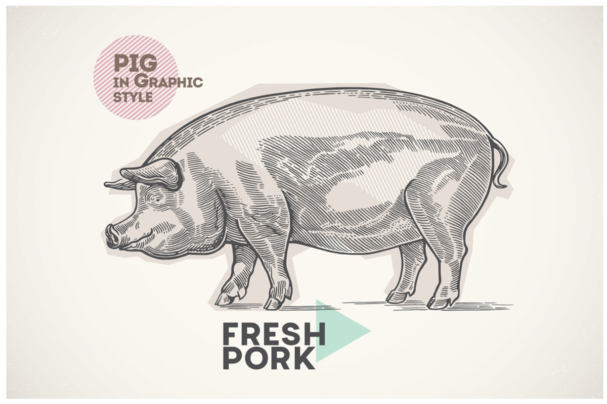 Pigs in graphical style, an Animal Illustration by Countryside life (Photo 3 of 11)