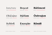Bovino; 18 Fonts Sharp Serif, a Serif Font by Eko Bimantara (Thumbnail 5 of 10)