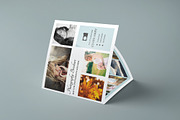 Trifold Photography Brochure-V186, a Brochure Template by Template Shop (Thumbnail 2 of 5)