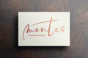 Sonneta Script, a Script Font by DISTRICT 62 STUDIO (Thumbnail 10 of 14)