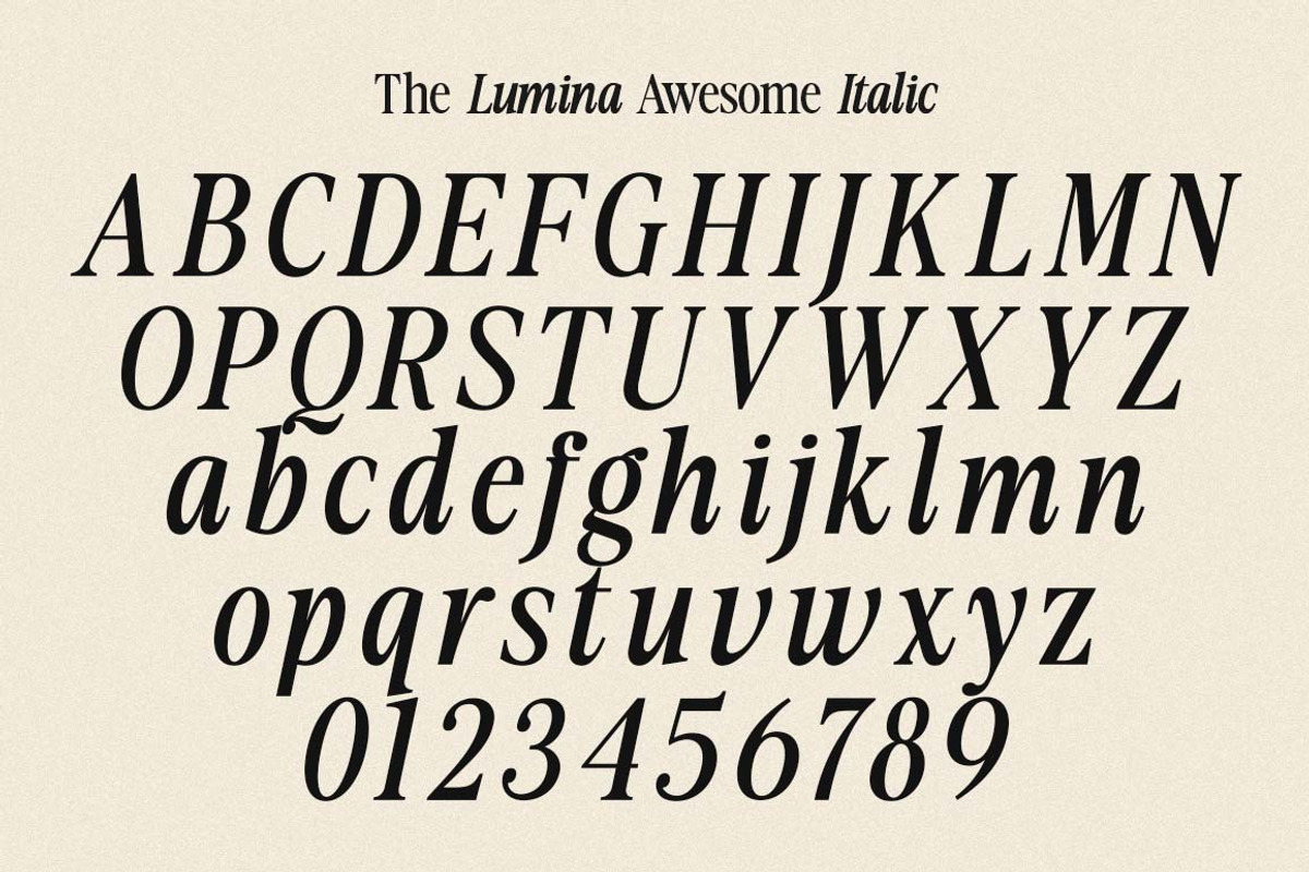 The Lumina Awesome, a Serif Font by Zane Studio (Photo 12 of 12)