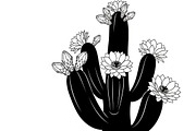 collection desert cactus silhouettes, an Illustration by Amazin_art (Thumbnail 28 of 33)