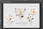 Pressed Flowers (Png) Elements, a Background Graphic by by creative paper (Thumbnail 5 of 13)