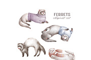 Cute Ferrets+patterns, an Animal Illustration by TheCuteShop (Thumbnail 3 of 8)