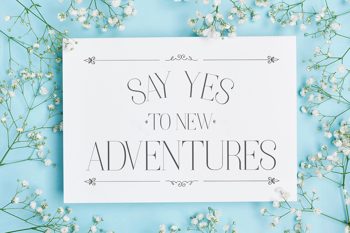Elegant - Font Collection - 7 Fonts, a Sans Serif Font by CorgiAstronaut (Photo 27 of 41)