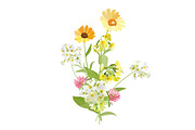 Vector object brushes. Primula., a Brush Add-On by Peolla (Thumbnail 15 of 17)