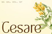 CS Cesare – Elegant Sans Serif, a Sans Serif Font by Craft Supply Co. (Thumbnail 1 of 8)