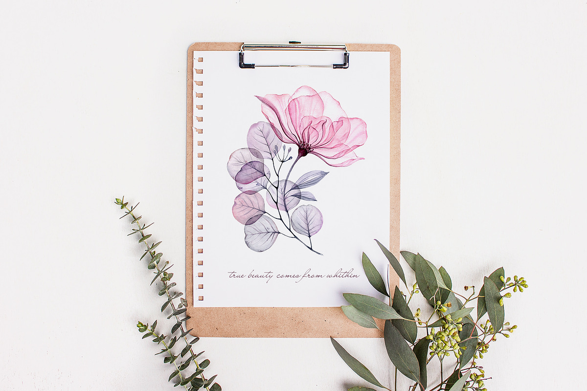 Watercolor Transparent Florals set, a Background Graphic by Akvarelldesign (Photo 3 of 3)