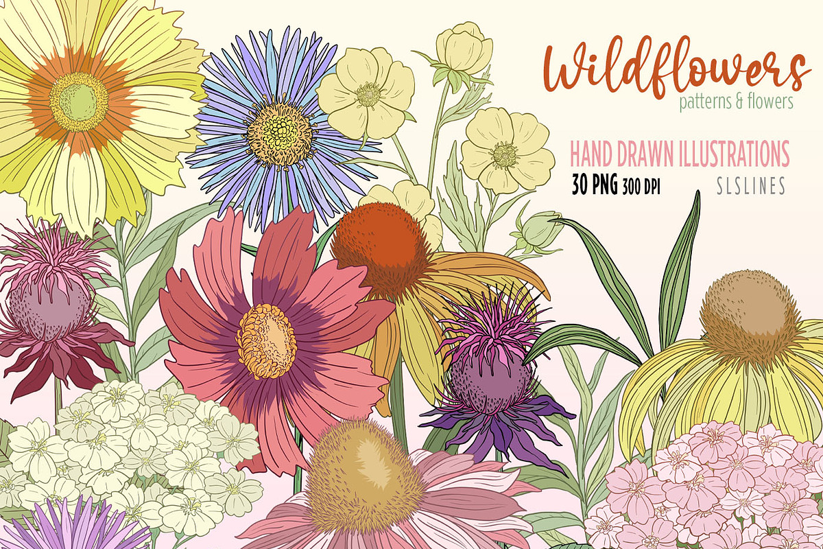 Wildflowers Clipart Flower Graphics, a Decorative Illustration by SLS Lines (Photo 3 of 6)