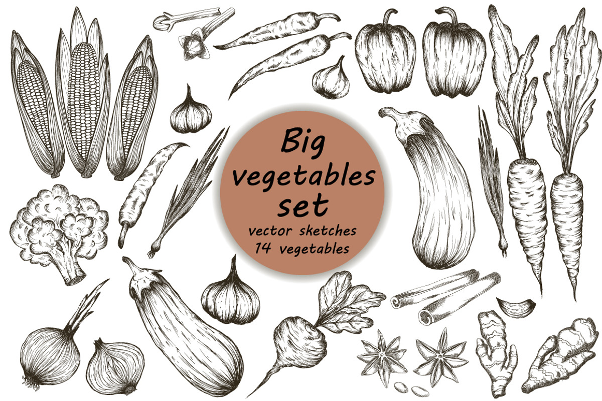 hand drawn vegetables vector set, a Food Illustration by Tierre3012 (Photo 1 of 2)