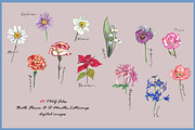 Birth Flower Clipart Digital Paper, a Decorative Illustration by VianneArt (Thumbnail 3 of 9)