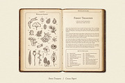 FOREST TREASURES illustrations, a Seasonal Illustration by Crocus Paperi (Thumbnail 8 of 8)