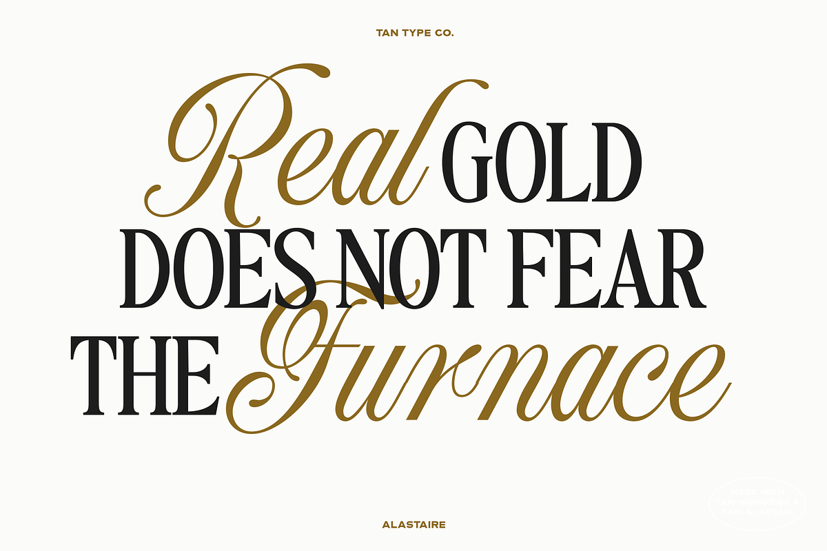 TAN - ALASTAIRE, a Script Font by TanType (Photo 4 of 10)