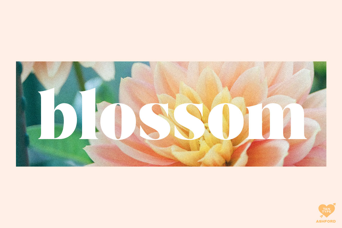 Tan Ashford Font Free Downloadv - UIFreebies