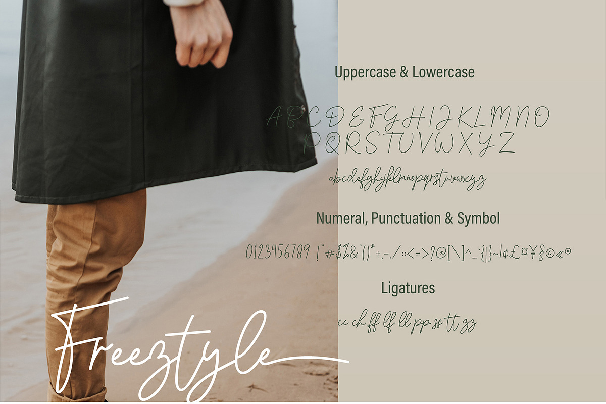 Freeztyle - Monoline Script, a Script Font by erlosDESIGN (Photo 12 of 14)