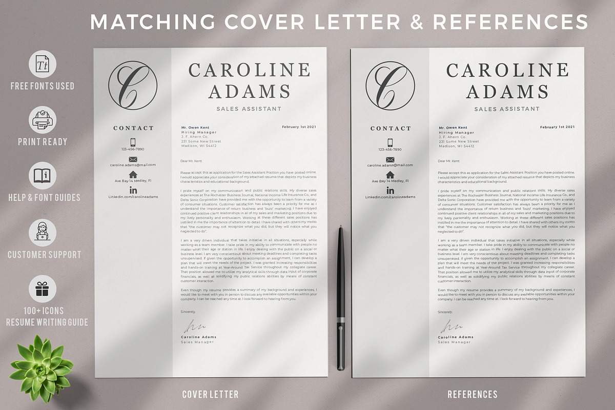 Sales Assistant Creative Resume, a Resume Template by HIRED Design Studio (Photo 4 of 15)