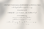Soulmate - Elegant Calligraphy Font, a Script Font by Pen Culture (Thumbnail 7 of 8)