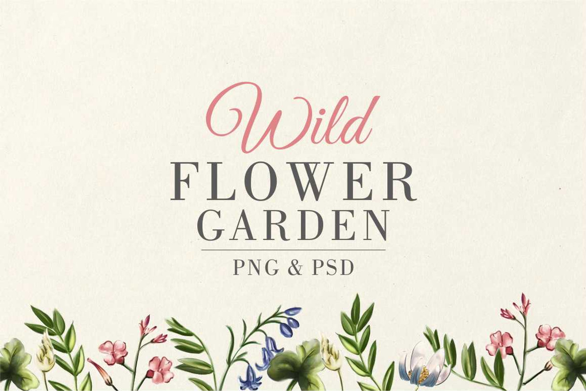 Wild Flower Garden, an Object Illustration by Storyteller Imagery (Photo 1 of 12)