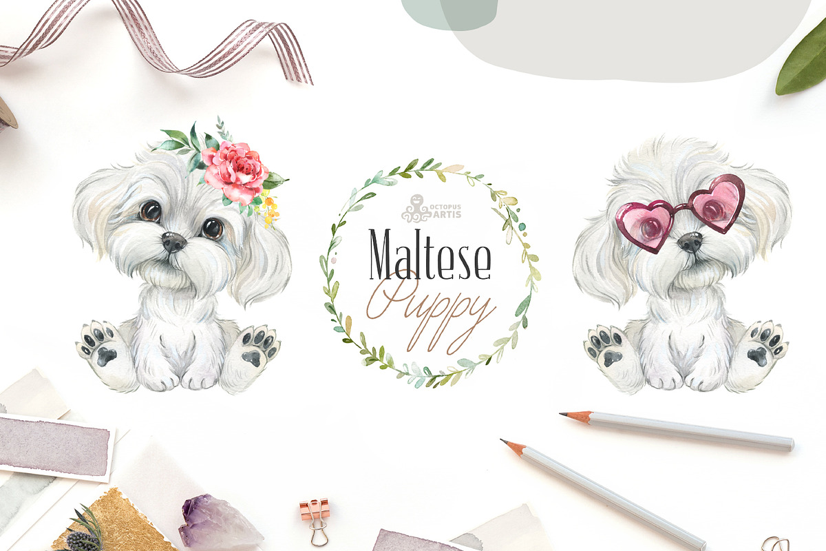 Puppy Paws 6. Watercolor Collection, an Illustration by OctopusArtis (Photo 7 of 11)