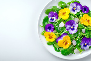 Isolated mix of edible flowers and, a Food & Drink Photo by ZinetroN