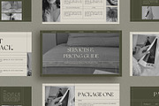 Venice Services and Pricing Guide, a Marketing Template by Amaré Creative (Thumbnail 6 of 7)