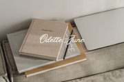 Modern Brand Kit For Canva, a Branding & Logo Template by Forth and Wild (Thumbnail 6 of 10)