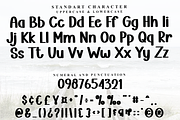 Cartoon Design, a Script Font by FreshTypeINK (Thumbnail 5 of 8)
