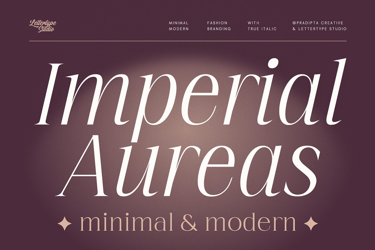 Imperial Aureas a Minimal Serif, a Serif Font by Lettertype Studio (Photo 1 of 16)