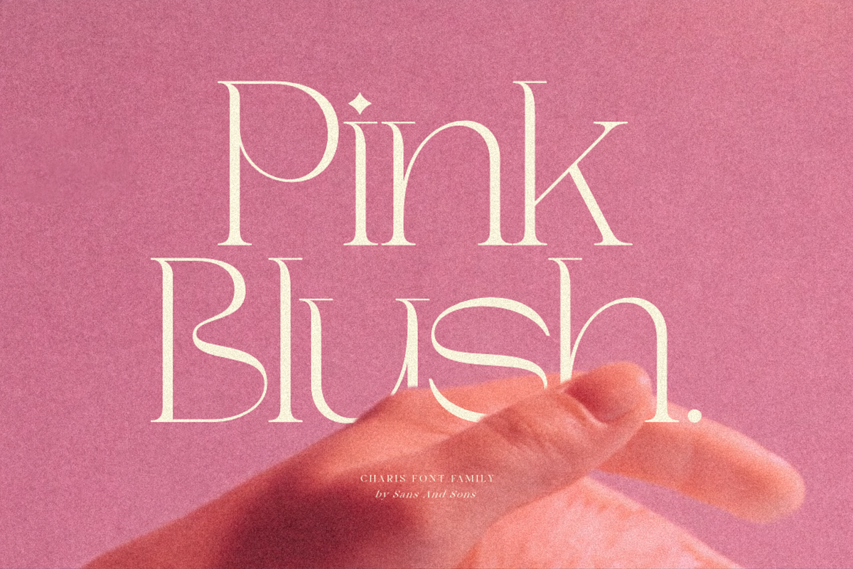 SNS Charis Font Family, a Serif Font by Sans & Sons (Photo 5 of 10)