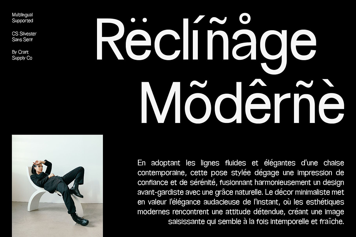 CS Silvester – Geometric Sans Serif, a Sans Serif Font by Craft Supply Co. (Photo 5 of 8)