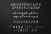 Worthy Monoline Signature Font, a Script Font by NTC Graphic (Thumbnail 9 of 10)